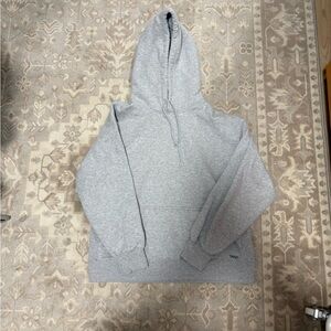 Aritzia Cozyfleece Gray Hoodie